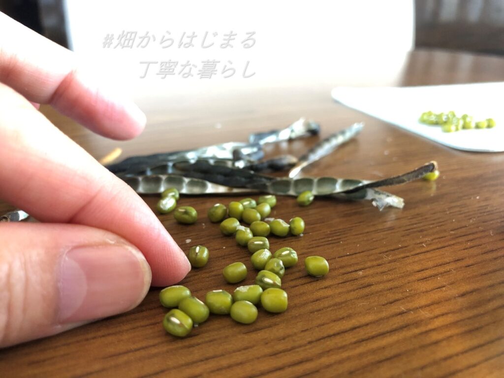 green-beans