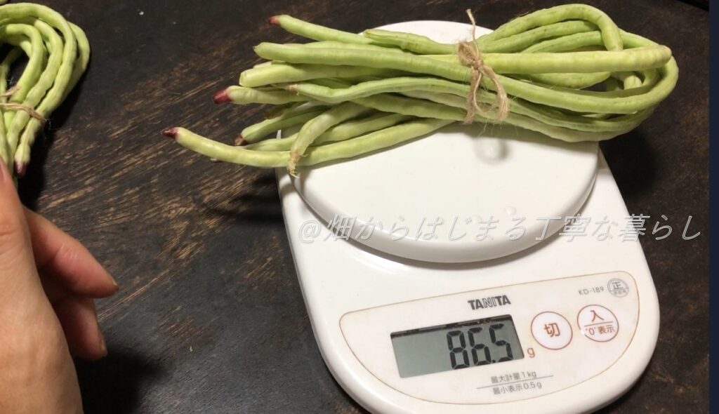 vegetable-bean