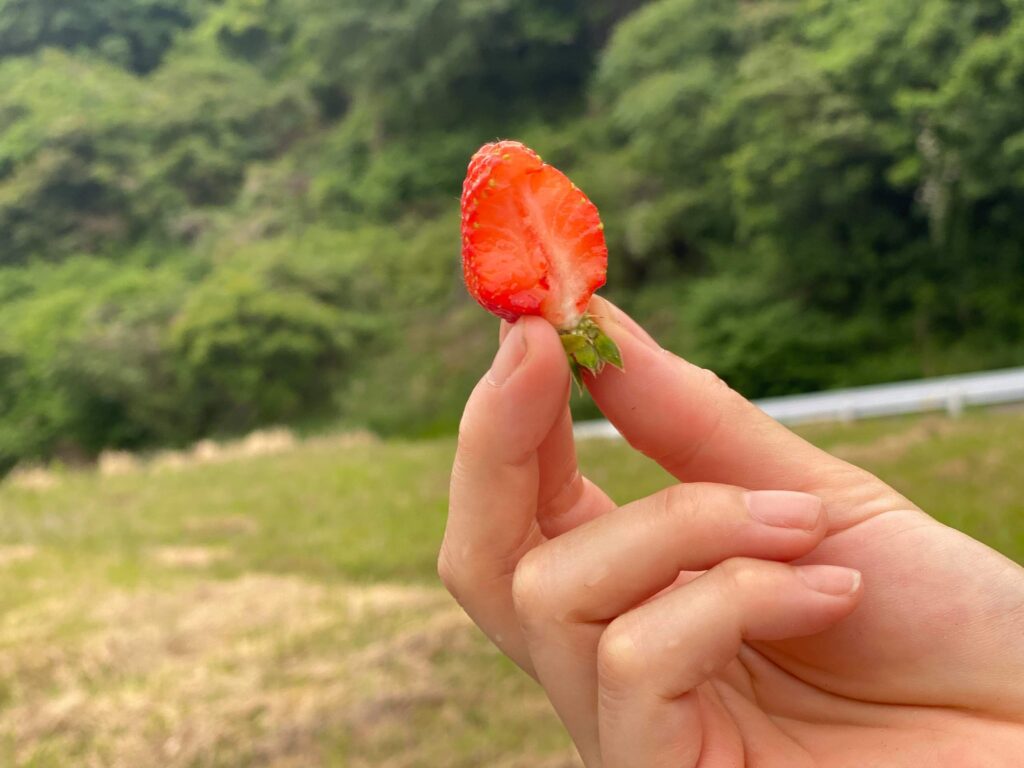 strawberry