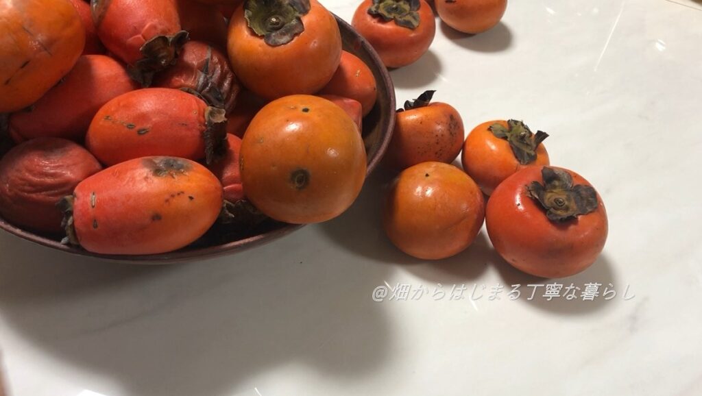 persimmon-vinegar