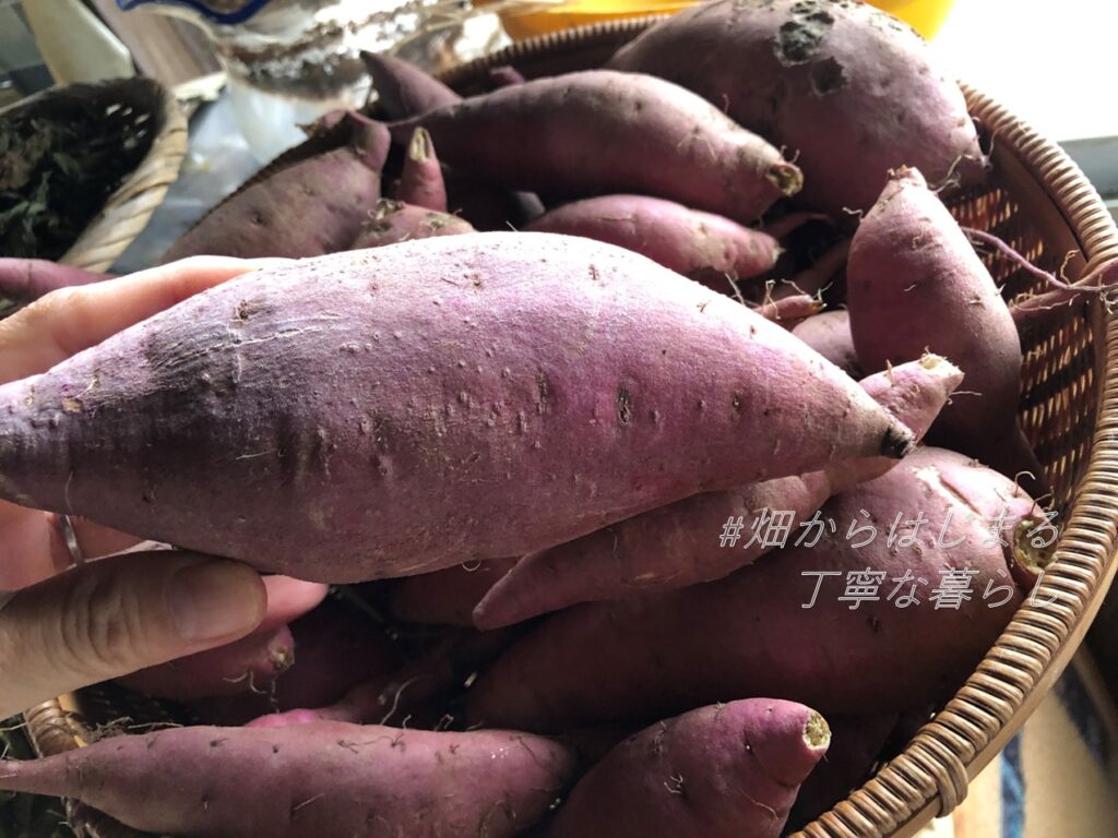 sweet-potato