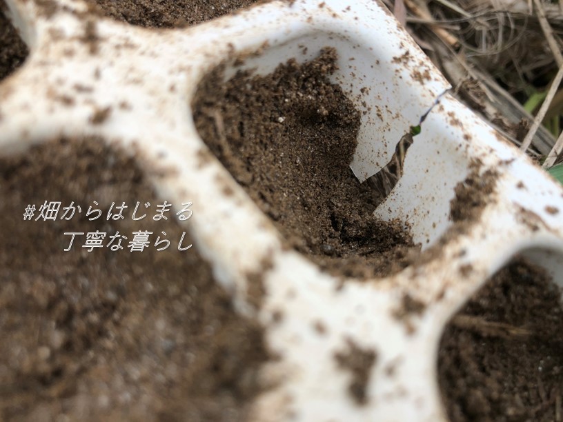 kitchen-garden