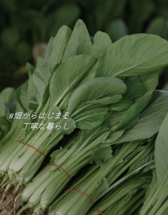 kitchen-garden