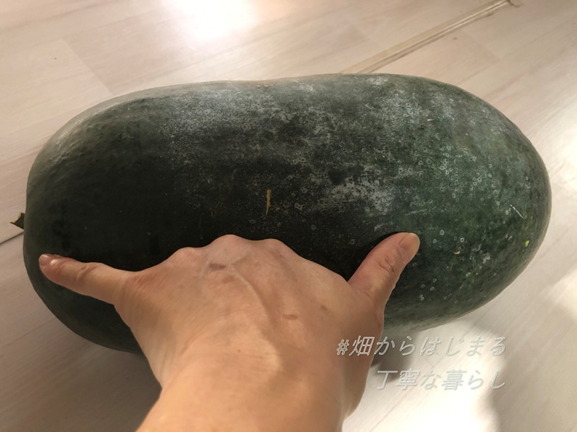 winter-melon