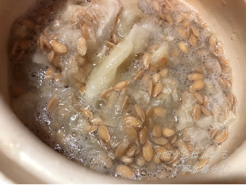 winter-melon