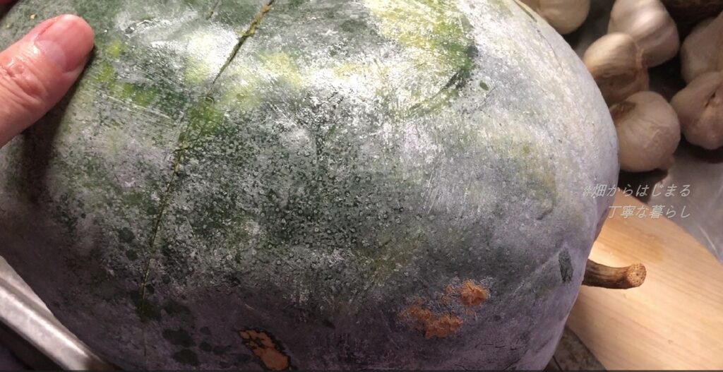 winter-melon