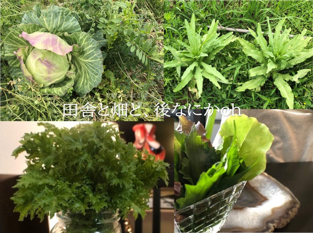 失敗