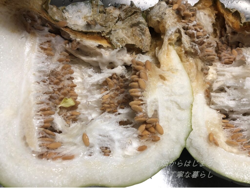 winter-melon