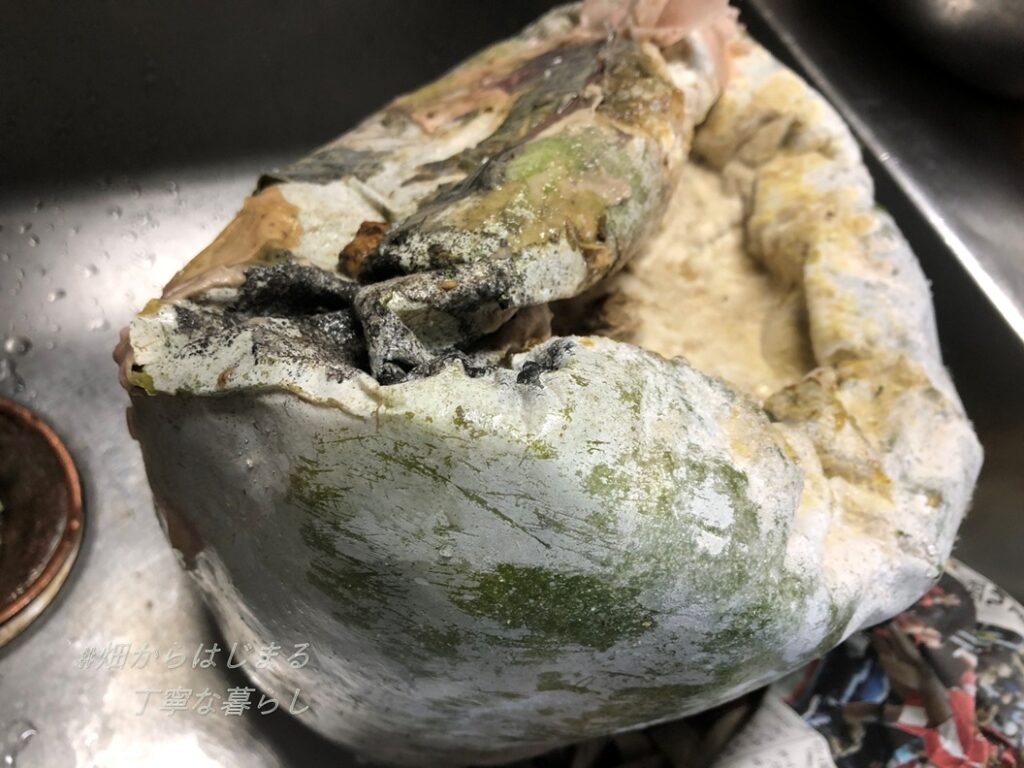 winter-melon