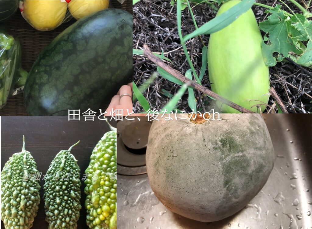 失敗