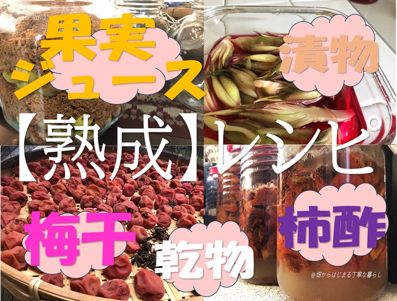 手作り熟成；柿酢・梅干・果実ジュース・漬物・乾物（茶）