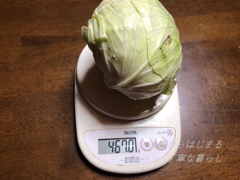 cabbage