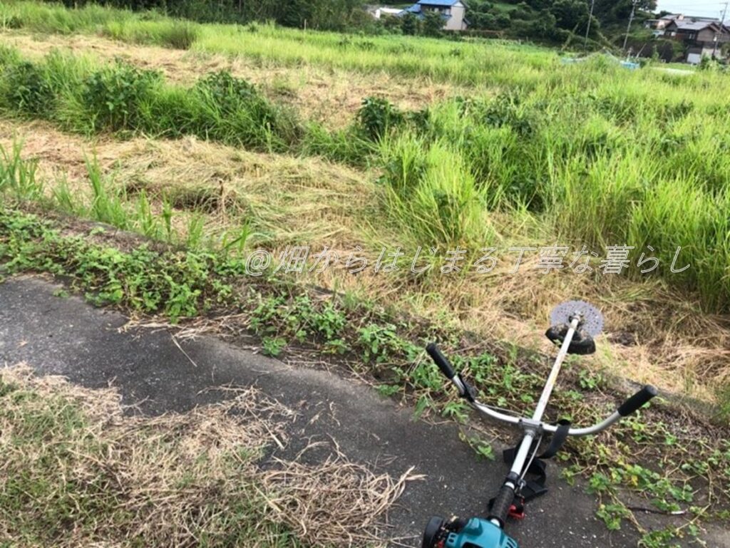hatakekarahajimaru