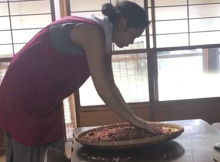 主婦Michi