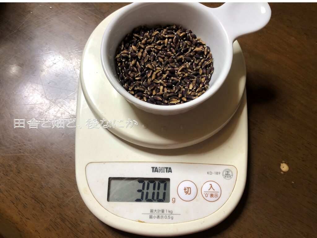 もち麦