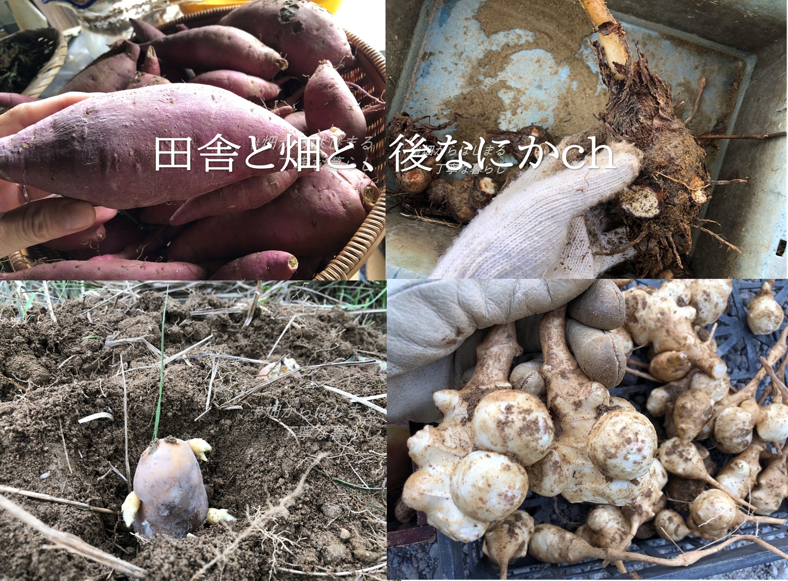 コスパ