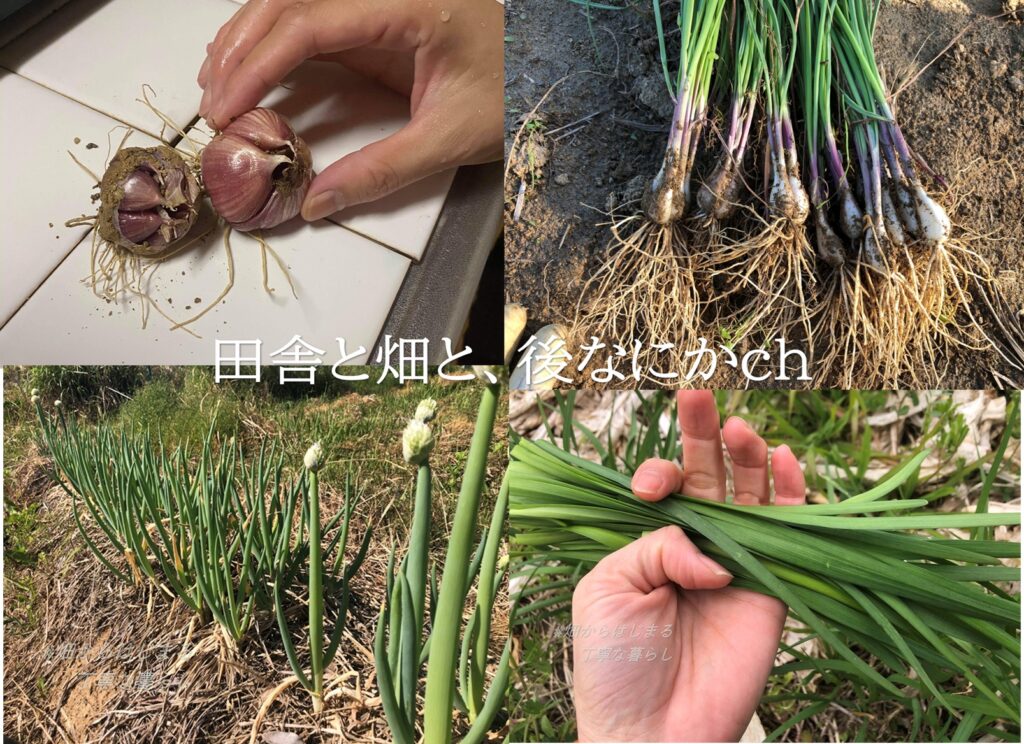 コスパ