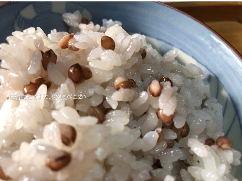 もち麦