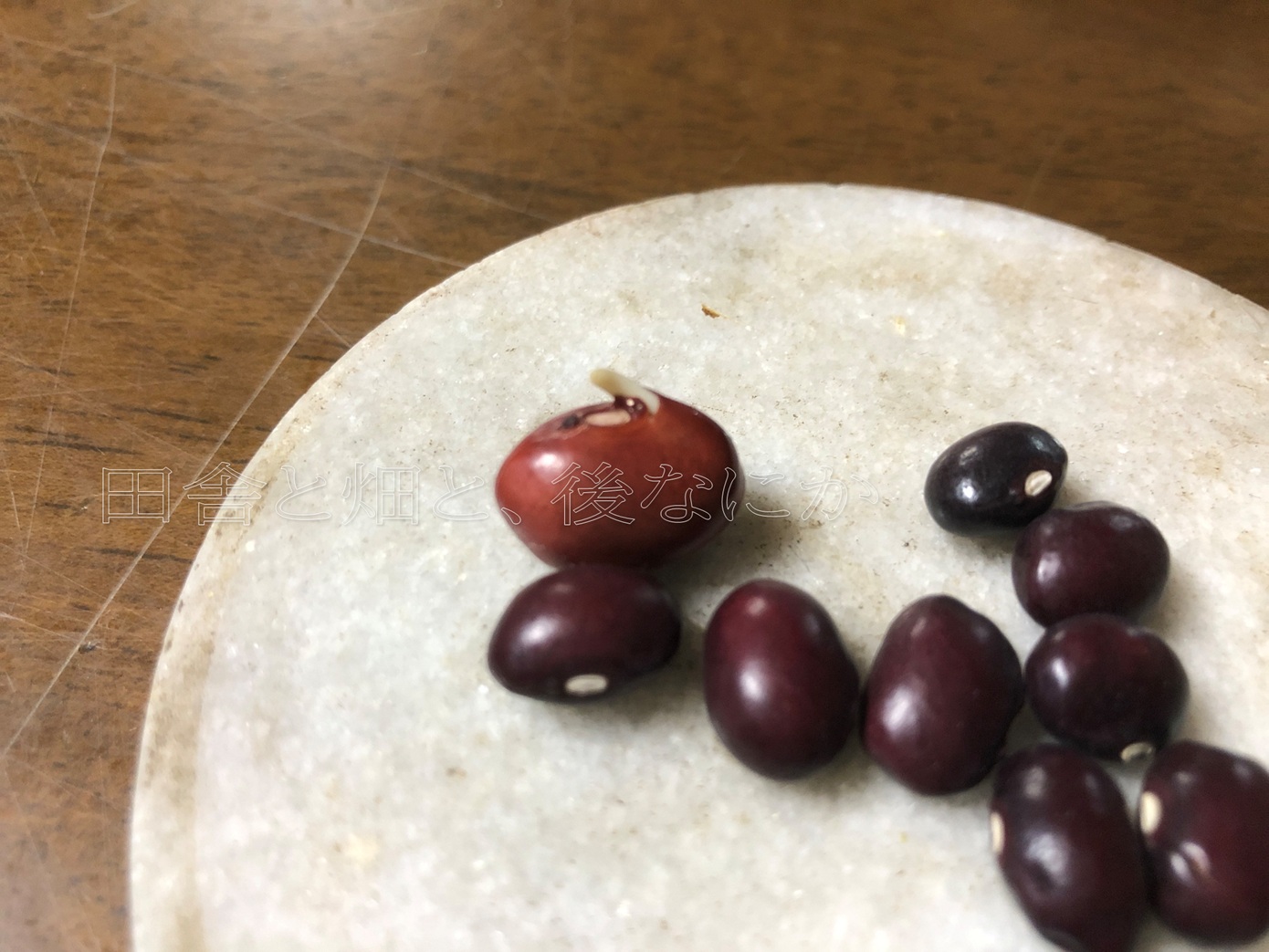 金時豆