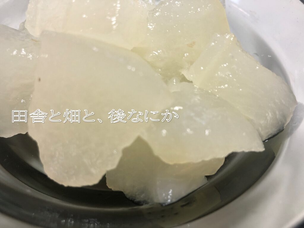 冬瓜