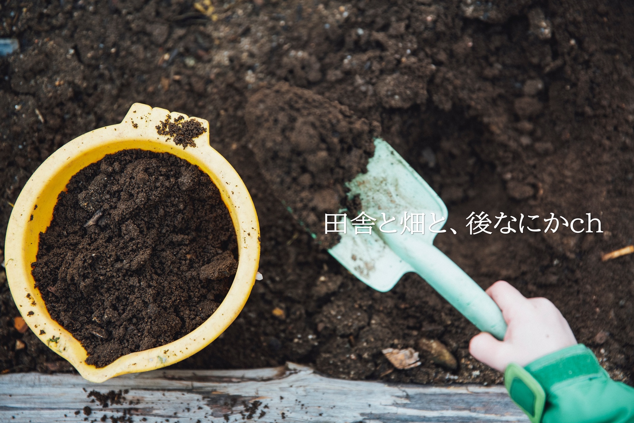 家庭菜園