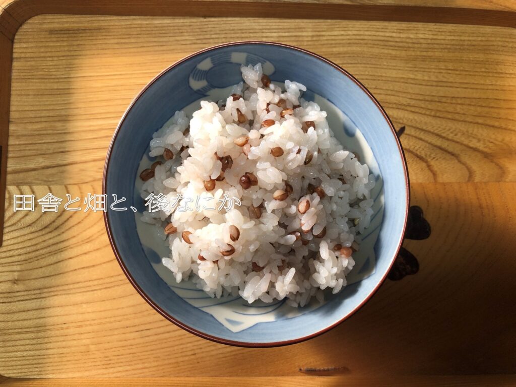 もち麦
