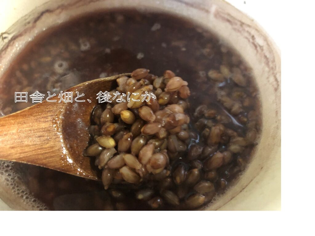 もち麦
