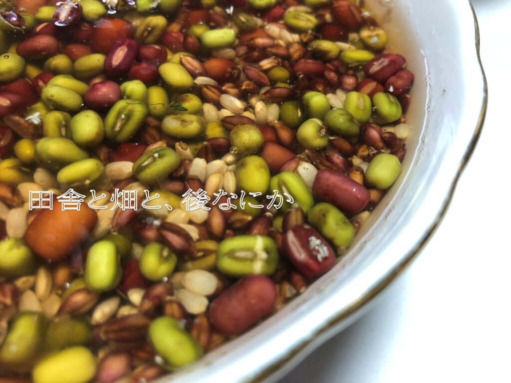 zenzai