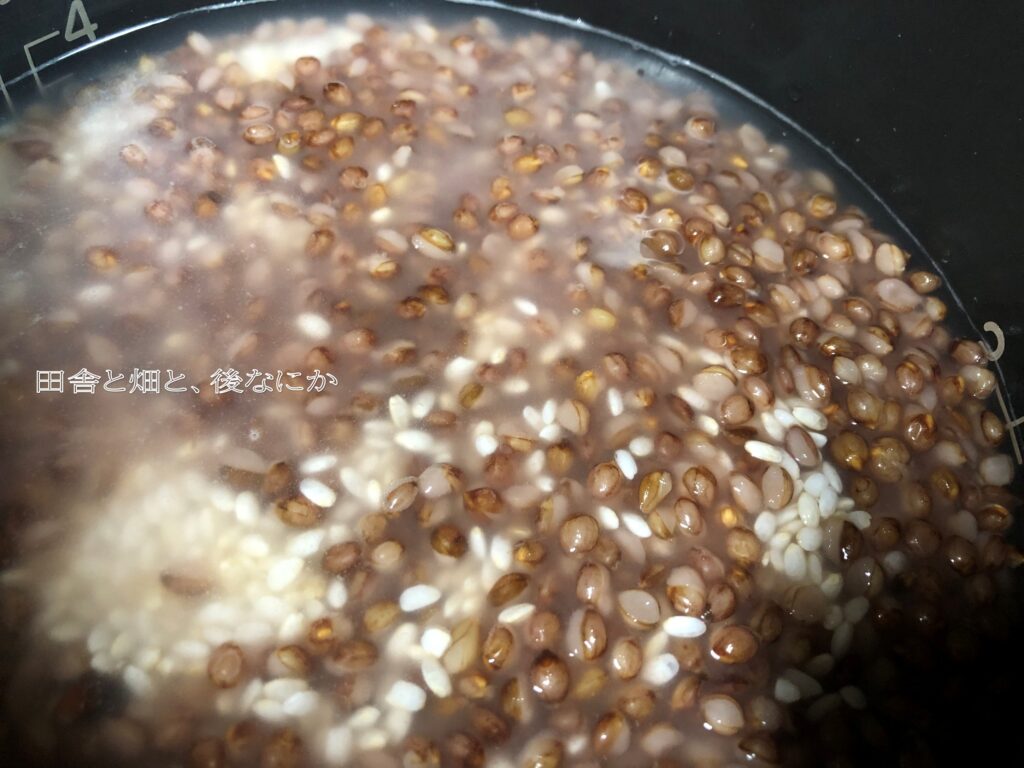 もち麦