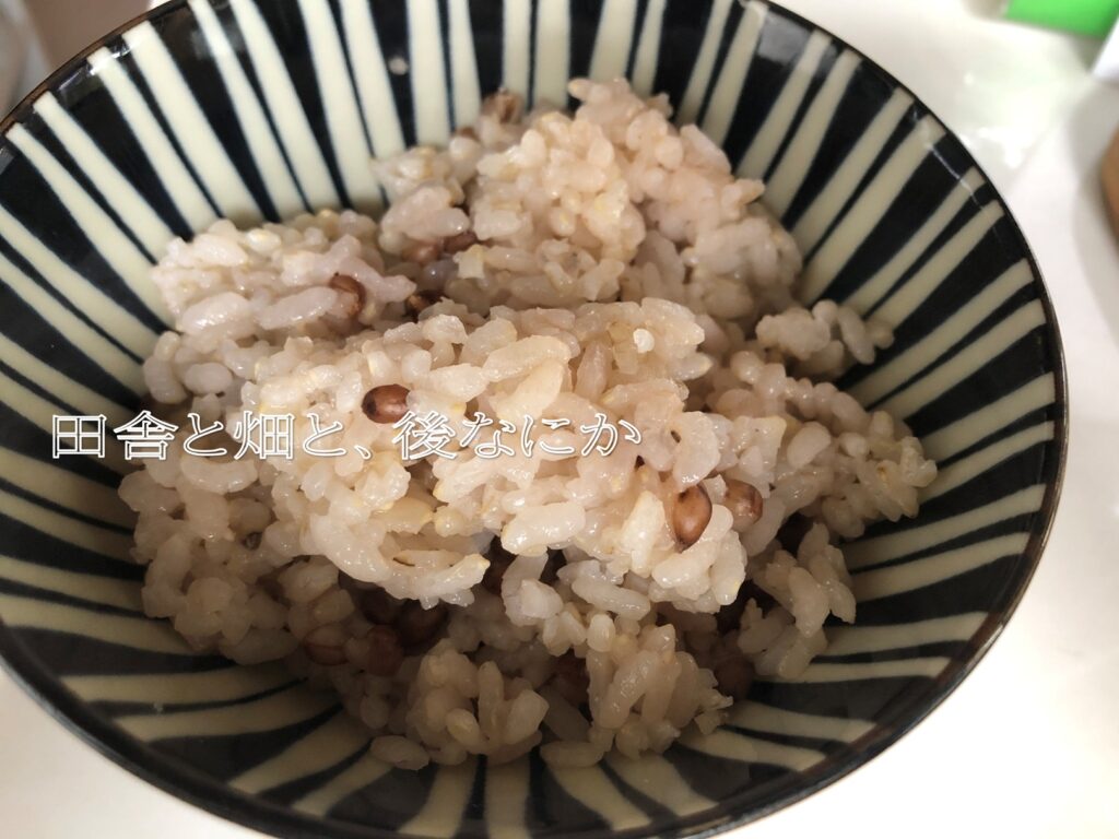 もち麦