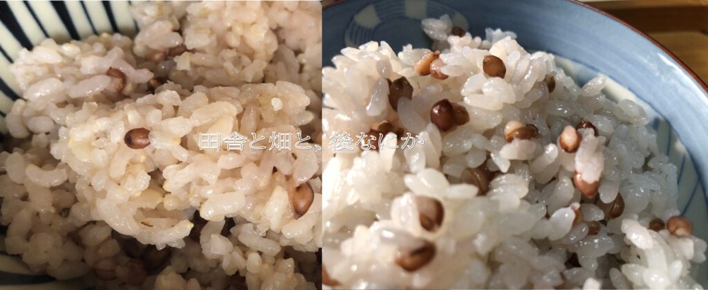 もち麦