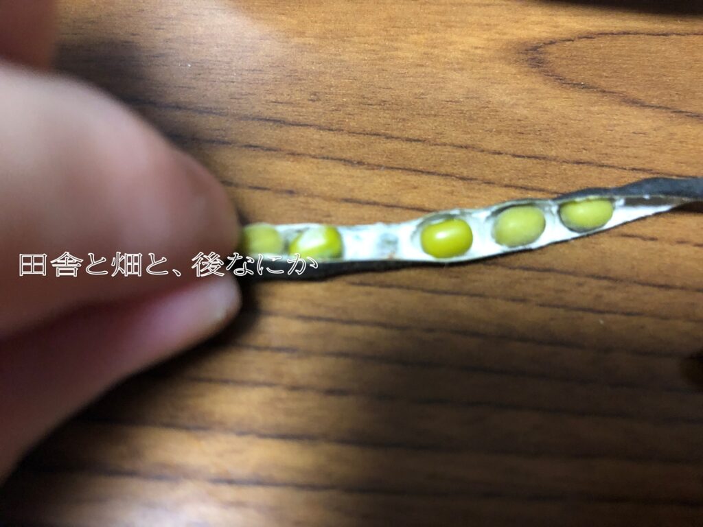 ぜんざい緑豆