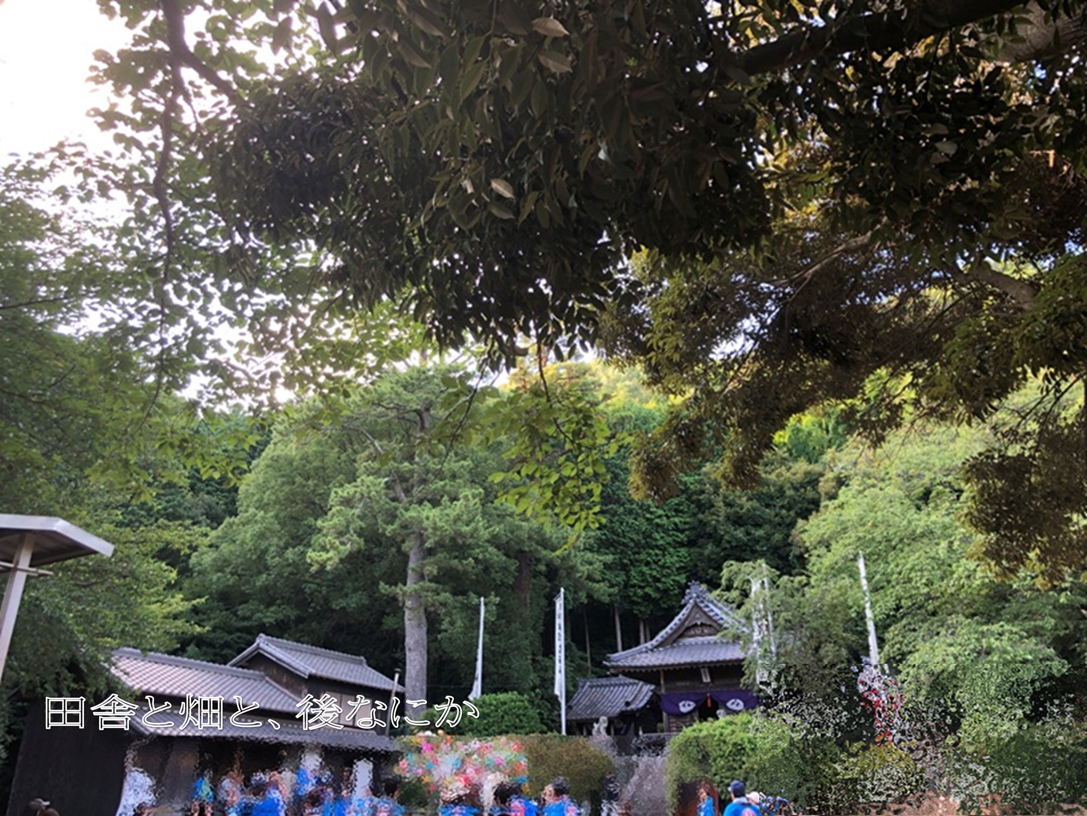 祭り