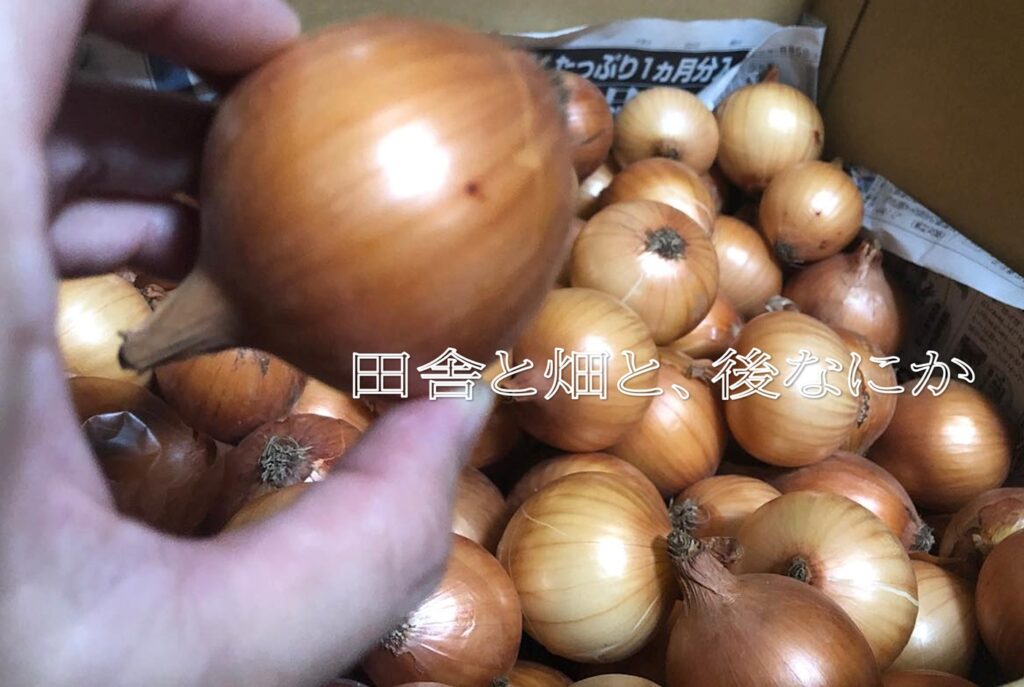 ポケマルの玉ねぎ