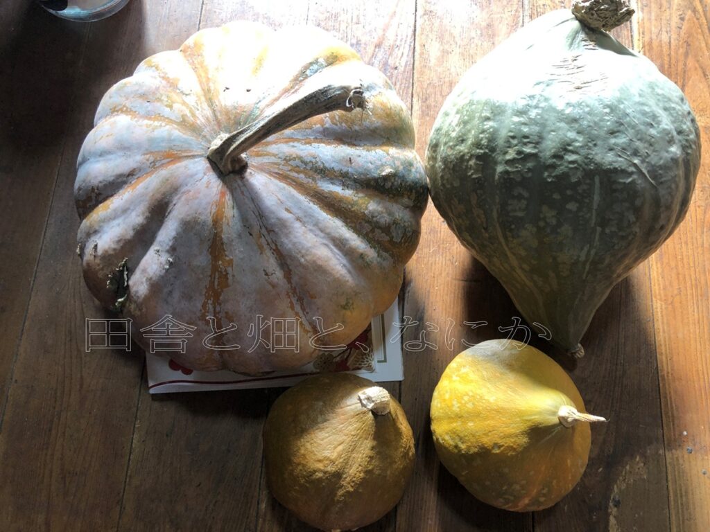 ベトナムかぼちゃ