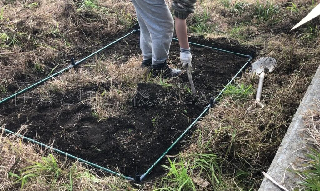 ビニールハウス2号