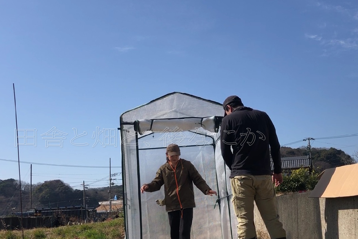 ビニールハウス2号