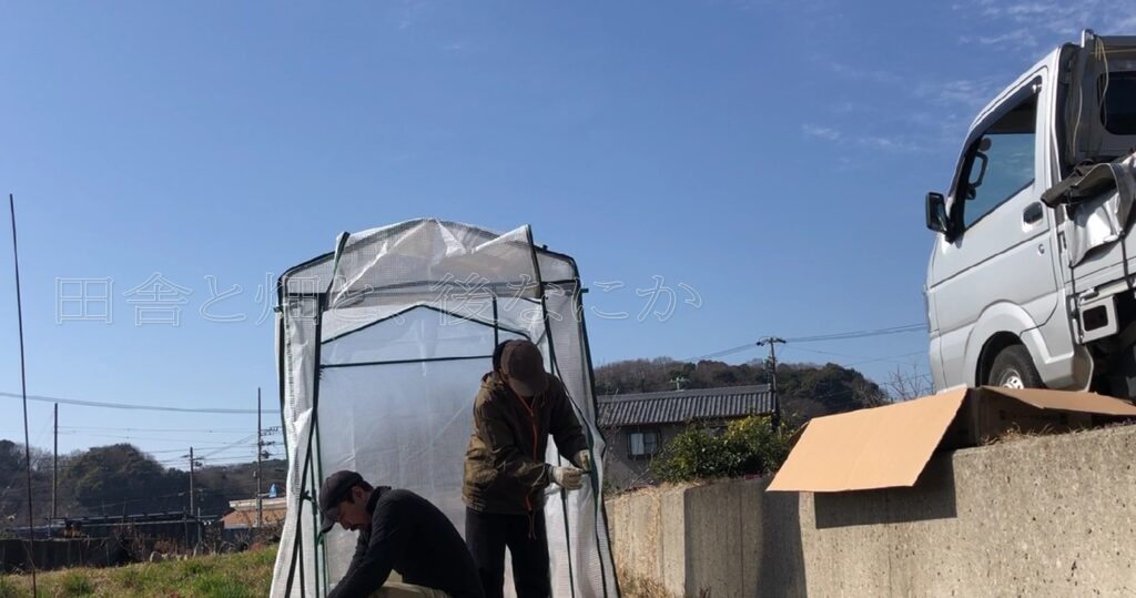 ビニールハウス2号