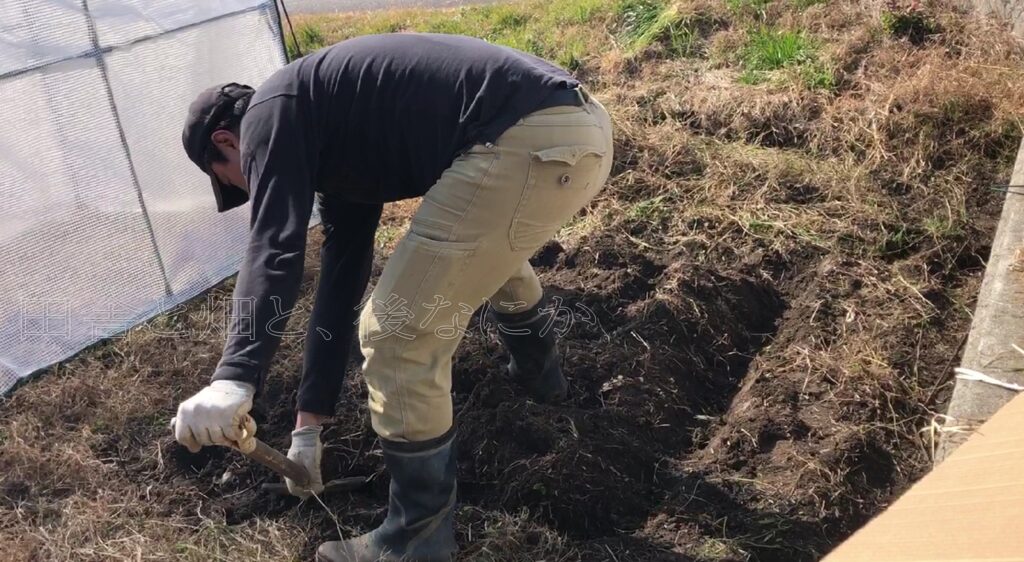 ビニールハウス2号