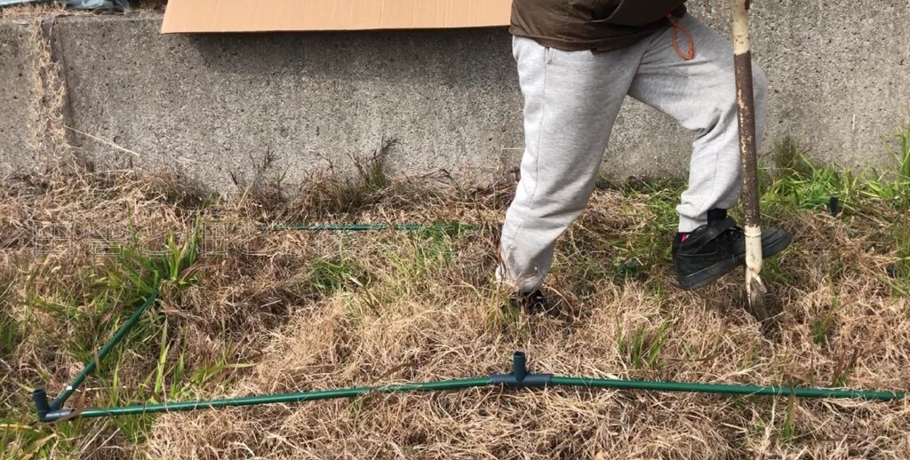 ビニールハウス2号