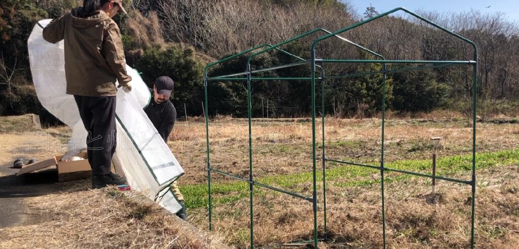 ビニールハウス2号