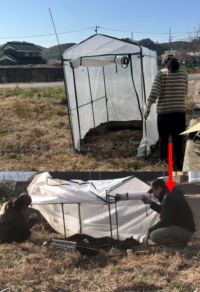 倒壊したビニール温室