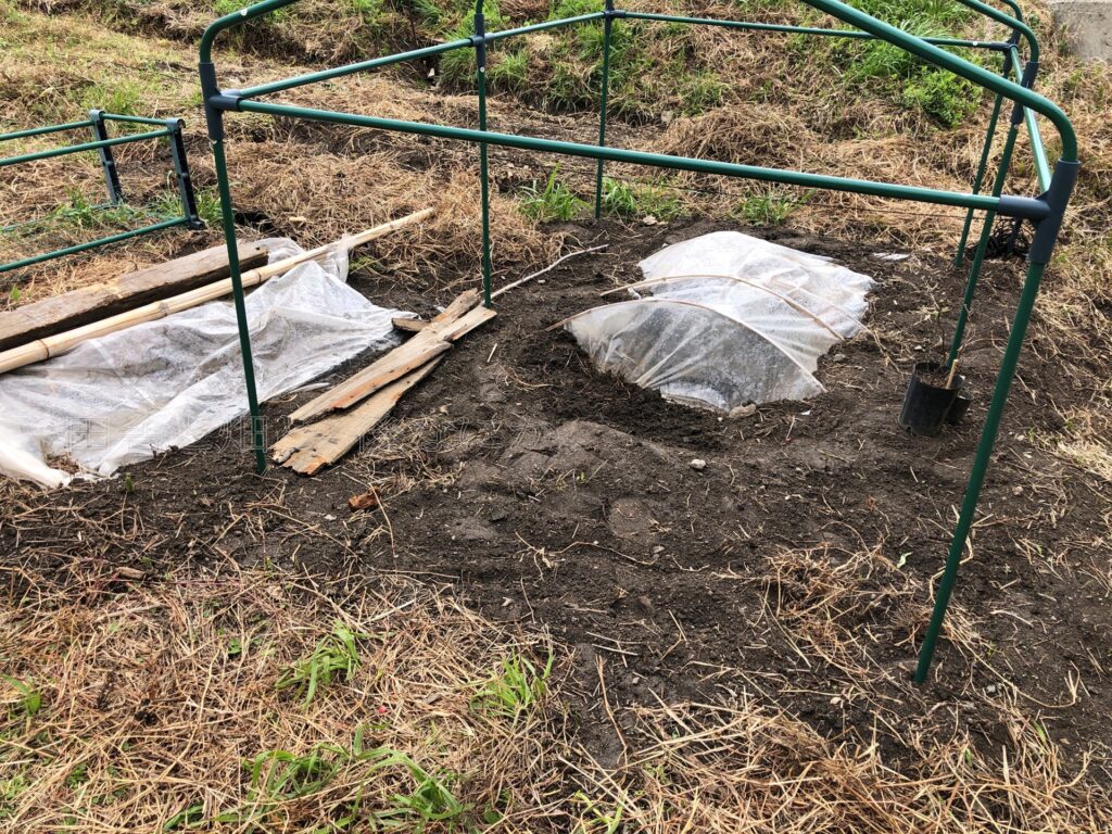 倒壊したビニール温室