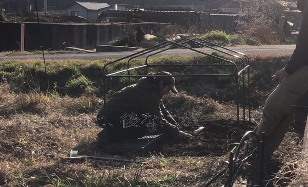 倒壊したビニール温室