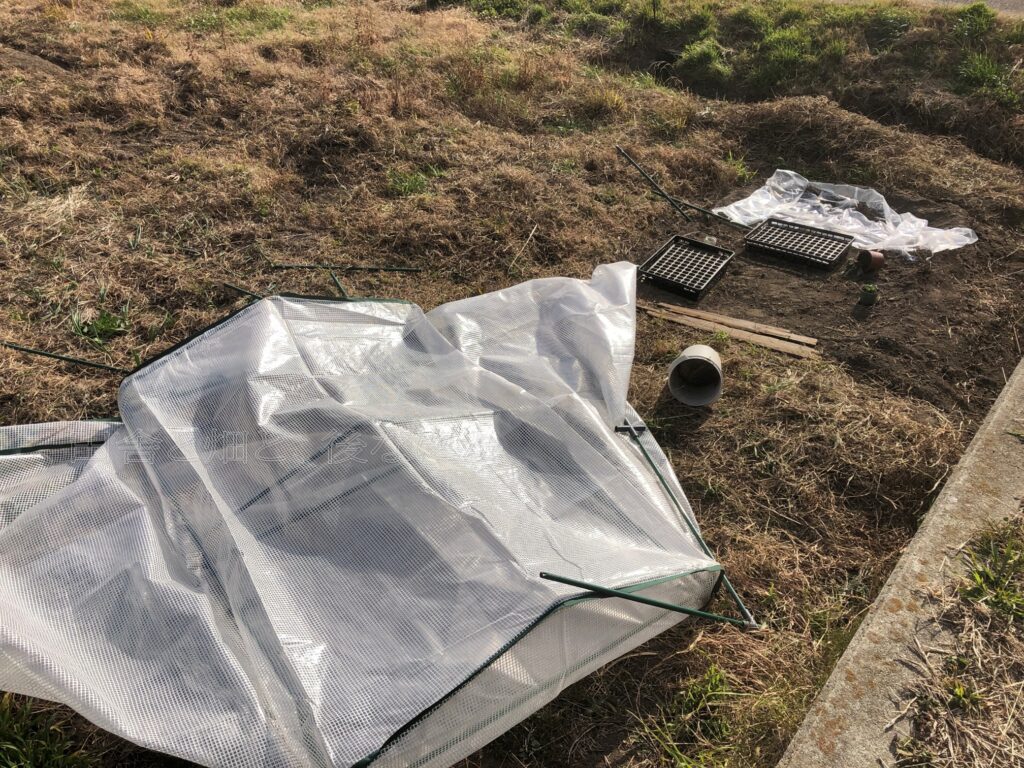 倒壊したビニール温室